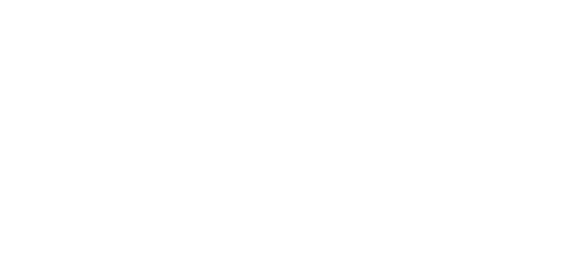 Logo - Bobby Mehan - Public Service Commission